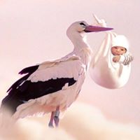 12342756_1214250288589457_2034035721264457988_n